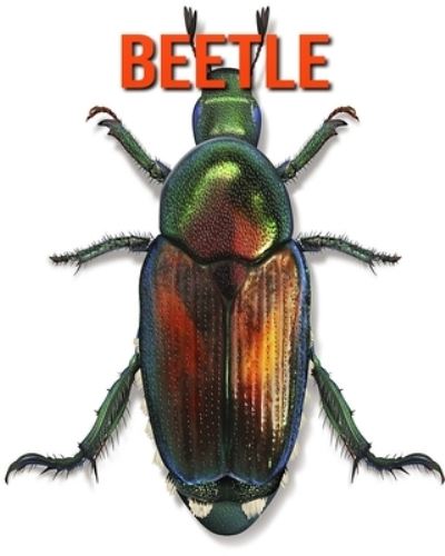 Cover for William Doyle · Beetle (Paperback Book) (2020)