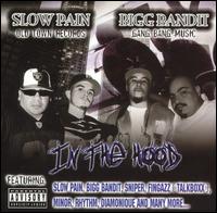 In Te Hood - Slow Pain & Bigg Bandit - Musiikki - TRIPLEX - 0021075132922 - lauantai 4. kesäkuuta 2005