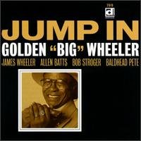 Cover for Big Wheeler · Jump In (CD) (1999)