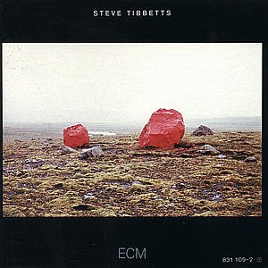 Exploded View - Tibbetts Steve - Musiikki - SUN - 0042283110922 - sunnuntai 1. maaliskuuta 1987