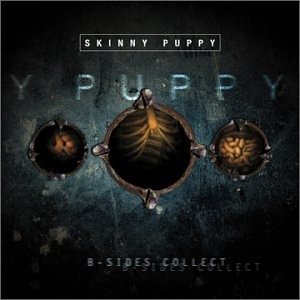 Cover for Skinny Puppy · B-sides Collection (CD) (1999)