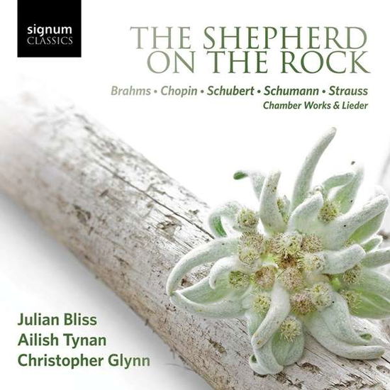 Cover for Julian Bliss · Shepherd on the Rock (CD) (2016)