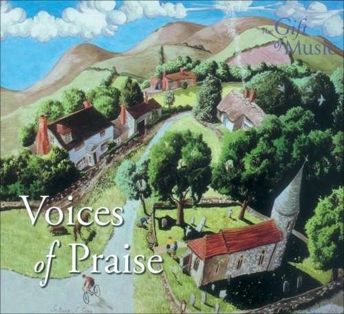 Cover for Voices of Praise / Various (CD) (2009)