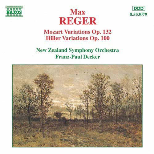 Cover for M. Reger · Variations And Fugues Opp (CD) (1997)