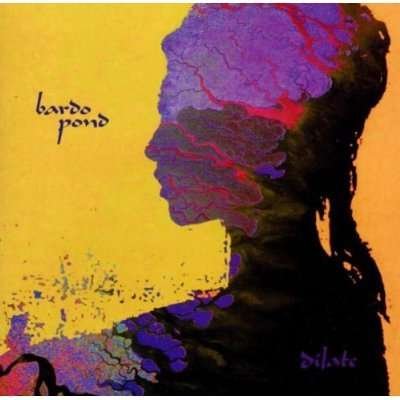 Cover for Bardo Pond · Dilate (CD) (2001)