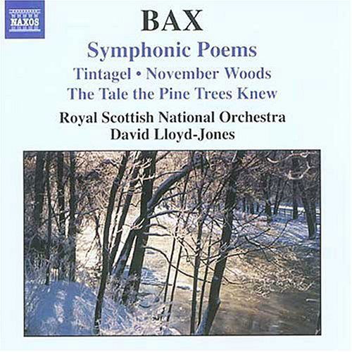 Tintagel / Garden of Fand... - A. Bax - Musiikki - NAXOS - 0747313259922 - maanantai 25. heinäkuuta 2005