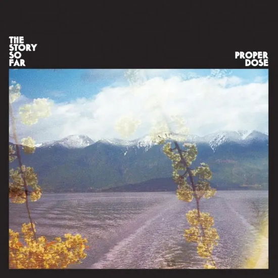 Cover for The Story So Far · Proper Dose (Lavender Eco Mix) (LP) [Reissue edition] (2024)