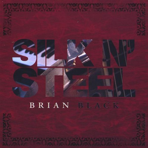Silk N Steel - Brian Black - Musik - CD Baby - 0825346304922 - 3. august 2004