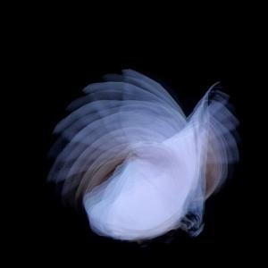 Feathermagnetik - Kira Kira - Musik - SOUND OF A HANDSHAKE - 0880918809922 - 31. mai 2012