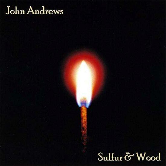 Cover for John Andrews · Sulfur &amp; Wood (CD) (2009)