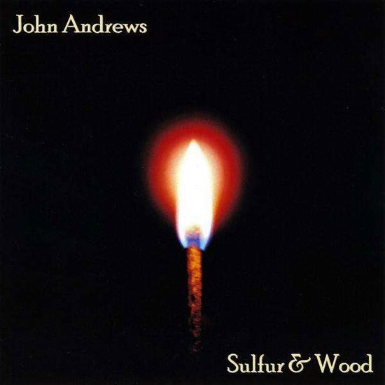 Sulfur & Wood - John Andrews - Muziek - run8records - 0884502129922 - 6 juli 2009