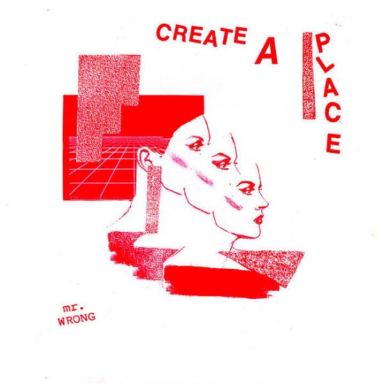 Cover for Mr. Wrong · Create A Place (LP) (2020)