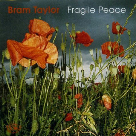 Cover for Bram Taylor · Fragile Peace (CD) (2001)