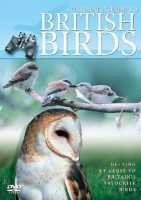Cover for British Birds · Ultimate Guide to British Birds (DVD) (2007)