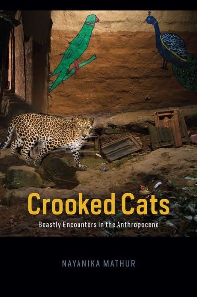 Cover for Nayanika Mathur · Crooked Cats: Beastly Encounters in the Anthropocene - Animal Lives (Paperback Book) (2021)