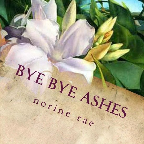 Cover for Norine Rae · Bye Bye Ashes: Finding True Love. a Cinderella Story... (Treasures Unending) (Volume 1) (Paperback Book) (2014)
