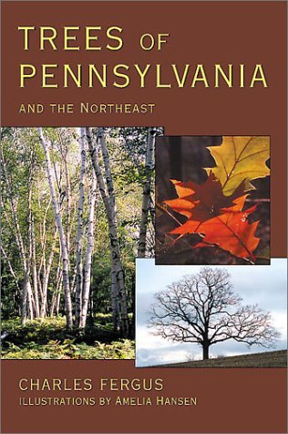 Trees of Pennsylvania and the Northeast - Charles Fergus - Kirjat - Stackpole Books - 9780811720922 - torstai 1. elokuuta 2002