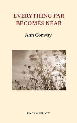 Cover for Ann Conway · Everything Far Becomes Near (Paperback Book) (2019)