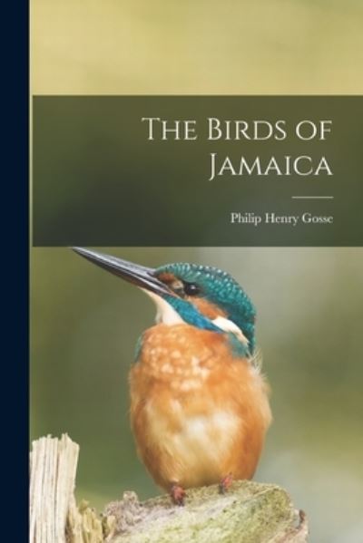 Cover for Philip Henry Gosse · Birds of Jamaica (Book) (2022)