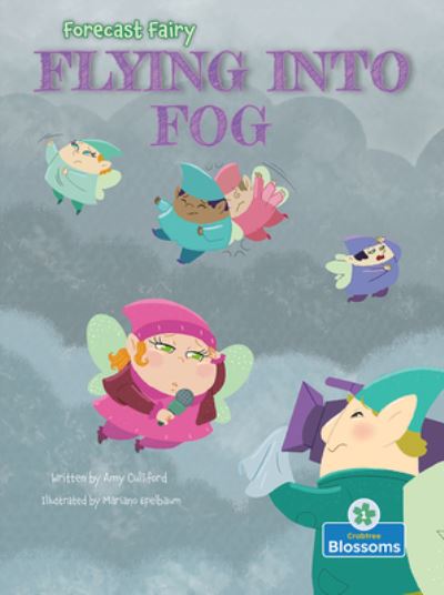 Cover for Amy Culliford · Flying Into Fog - Forecast Fairy (Paperback Bog) (2023)