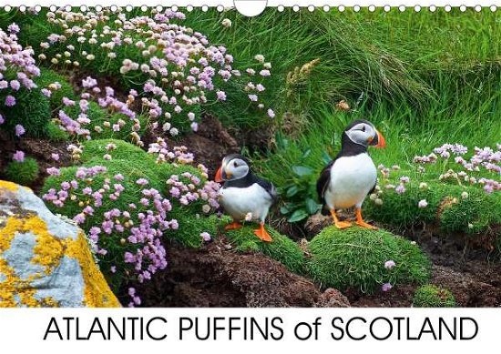 Cover for Cumming · Atlantic Puffins of Scotland (W (Book)