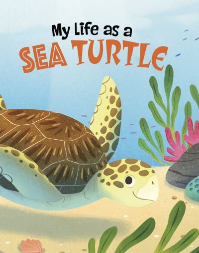 Cover for John Sazaklis · My Life as a Sea Turtle - My Life Cycle (Paperback Bog) (2024)
