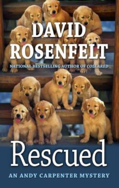 Cover for David Rosenfelt · Rescued (Gebundenes Buch) (2018)