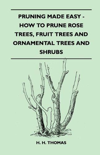 Cover for H. H. Thomas · Pruning Made Easy - How to Prune Rose Trees, Fruit Trees and Ornamental Trees and Shrubs (Paperback Book) (2010)