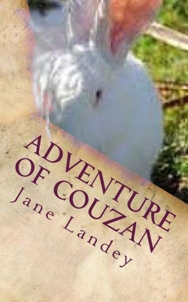 Cover for Jane Landey · Adventure of Couzan: Chinese Version (Taschenbuch) (2015)