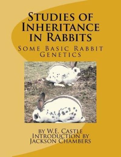 Cover for W E Castle · Studies of Inheritance in Rabbits (Paperback Book) (2017)