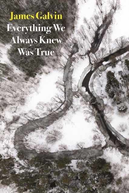 Cover for James Galvin · Everything We Always Knew Was True (Paperback Book) (2016)