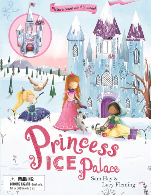 Cover for Sam Hay · Princess Ice Palace (Bok) (2017)