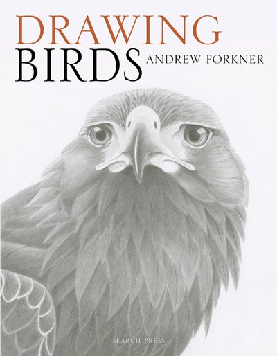 Drawing Birds - Andrew Forkner - Bøker - Search Press Ltd - 9781782214922 - 13. april 2018