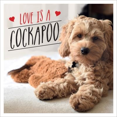 Cover for Charlie Ellis · Love is a Cockapoo: A Dog-Tastic Celebration of the World's Cutest Breed (Inbunden Bok) (2021)