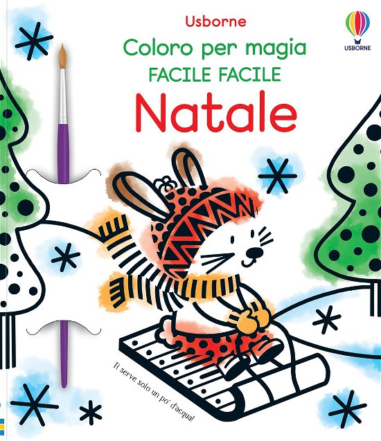 Cover for Matthew Oldham · Natale. Coloro Per Magia Facile Facile. Con Pennello (DVD)