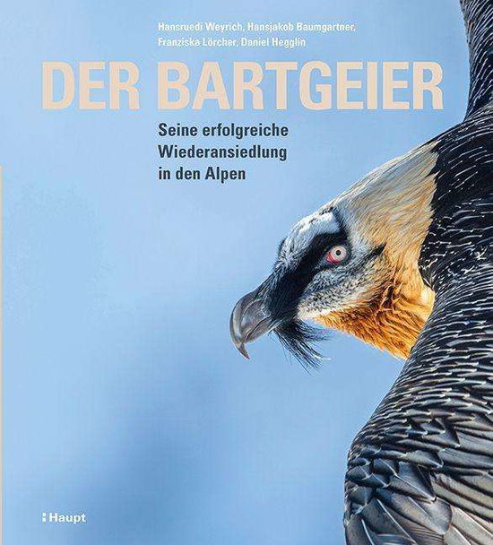 Cover for Baumgartner · Der Bartgeier (N/A)