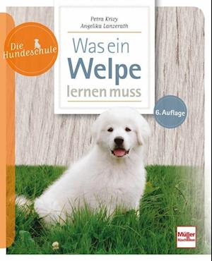 Cover for Petra Krivy · Was ein Welpe lernen muss (Book) (2023)