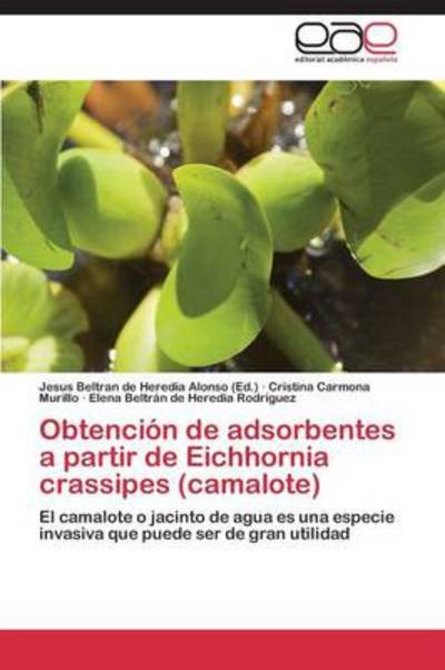 Cover for Beltran De Heredia a · Obtenci N De Adsorbentes a Partir De Eic (Paperback Bog) (2014)