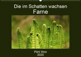 Cover for Won · Die im Schatten wachsen - Farne (Wa (Book)