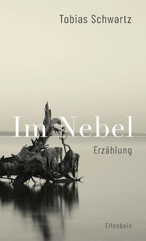 Cover for Tobias Schwartz · Im Nebel (Book) (2024)