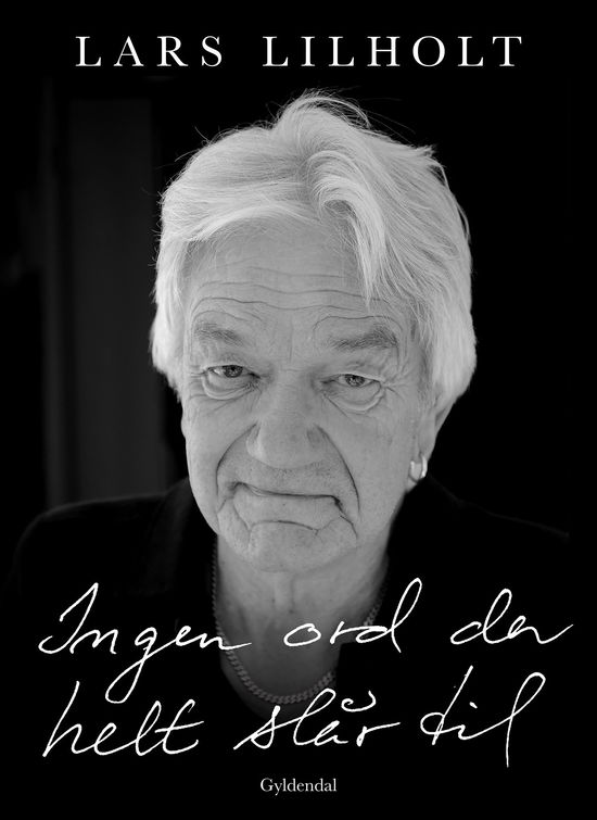 Cover for Lars Lilholt · Ingen ord der helt slår til (Bound Book) [1st edition] (2025)