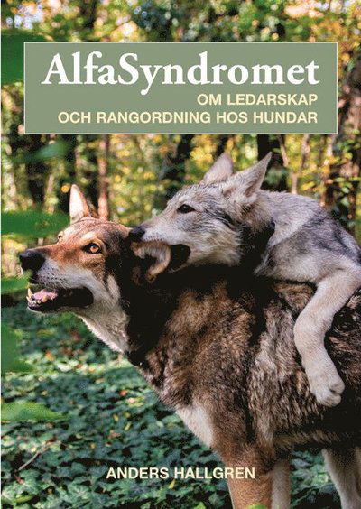 Cover for Anders Hallgren · Alfasyndromet : om ledarskap och rangordning hos hundar (Bok) (2021)