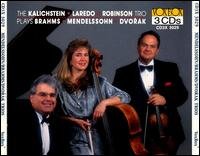 Cover for Kalichstein - Laredo - Robinson Trio · 3 Piano Trios / 2 Piano Trios / »Dumky« Piano Trio VoxBox Klassisk (CD) (2000)