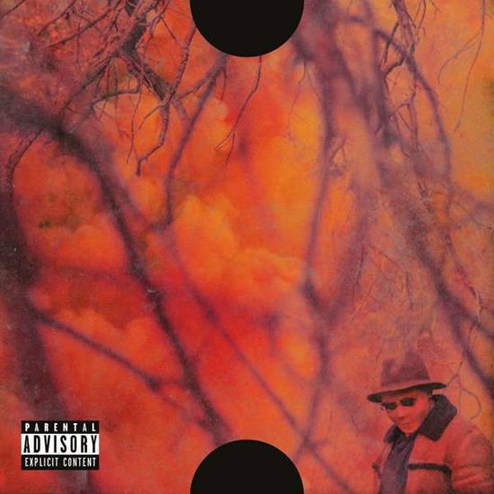 Cover for Schoolboy Q · Blank Face Lp (CD) (2016)