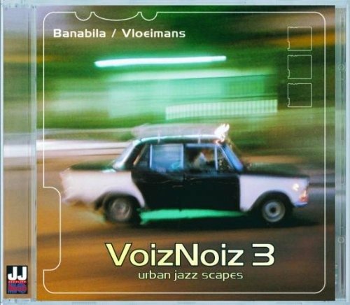 Cover for Banabila and Vloeimans · Voiz Noiz 3 (CD) (2002)