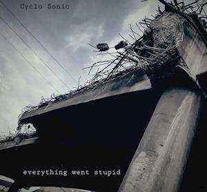 Cover for Cyclo-Sonic · Everything Went Stupid (LP) (2022)