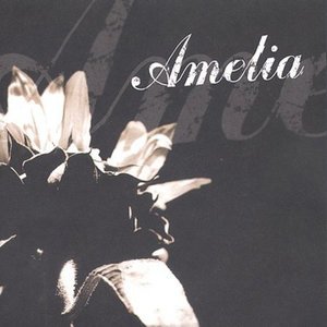 Cover for Amelia · Somewhere Left to Fall (CD) (2002)