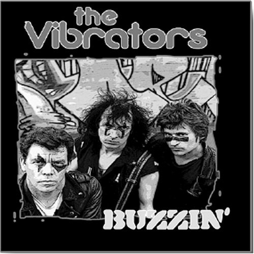 Buzzin - Vibrators - Musik - SOS - 0766277393923 - 6. december 2005