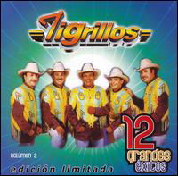 12 Grandes Exitos Vol.2 - Los Tigrillos - Música - WARN - 0825646997923 - 3 de abril de 2007