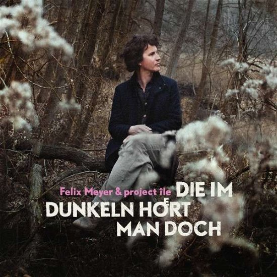 Die Im Dunkeln Hört Man Doch - Felix Meyer - Musik - SPV RECORDINGS - 0886922881923 - 6. september 2019